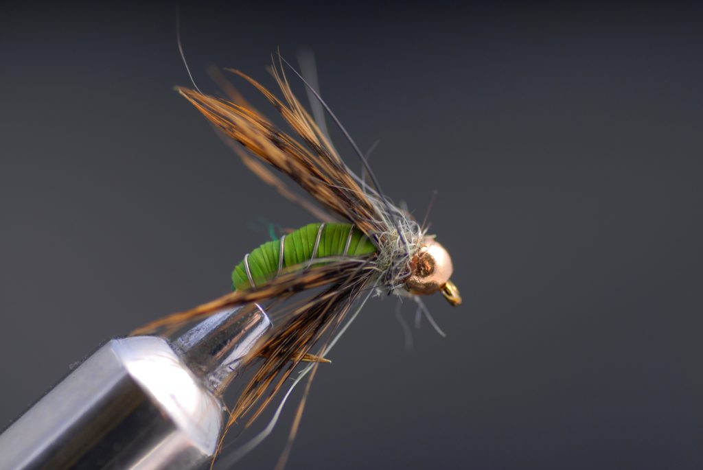 fly fishing fly caddis pattern