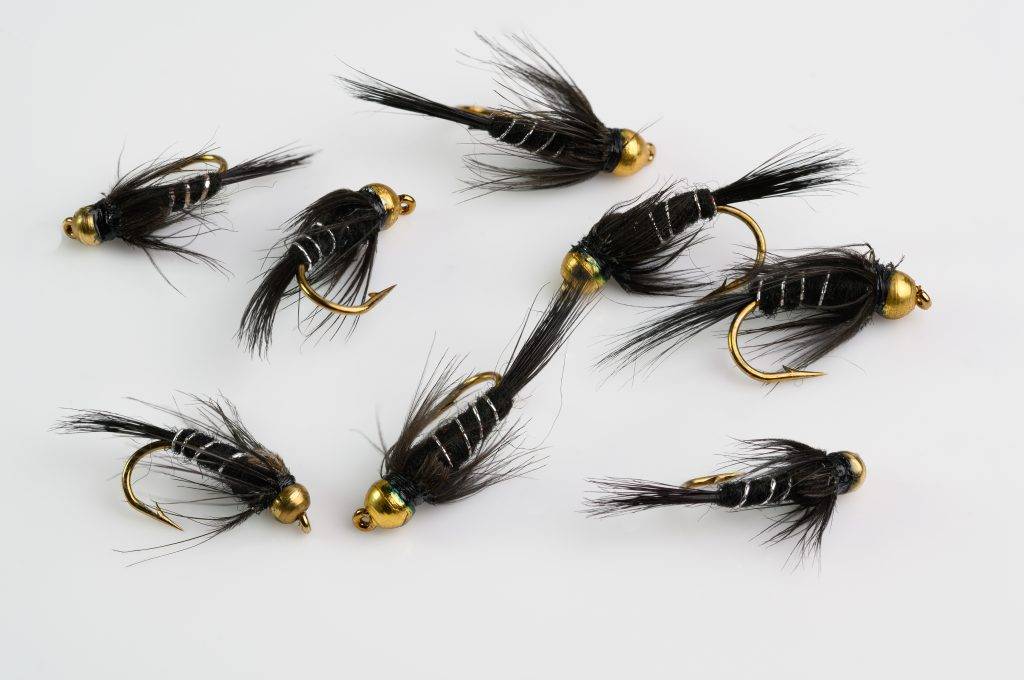 gold brass head black nymph pattern