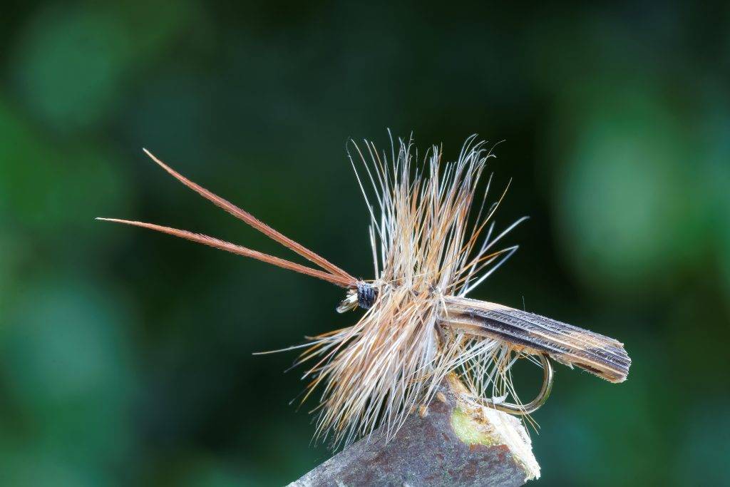 caddis fly dry fly fishing